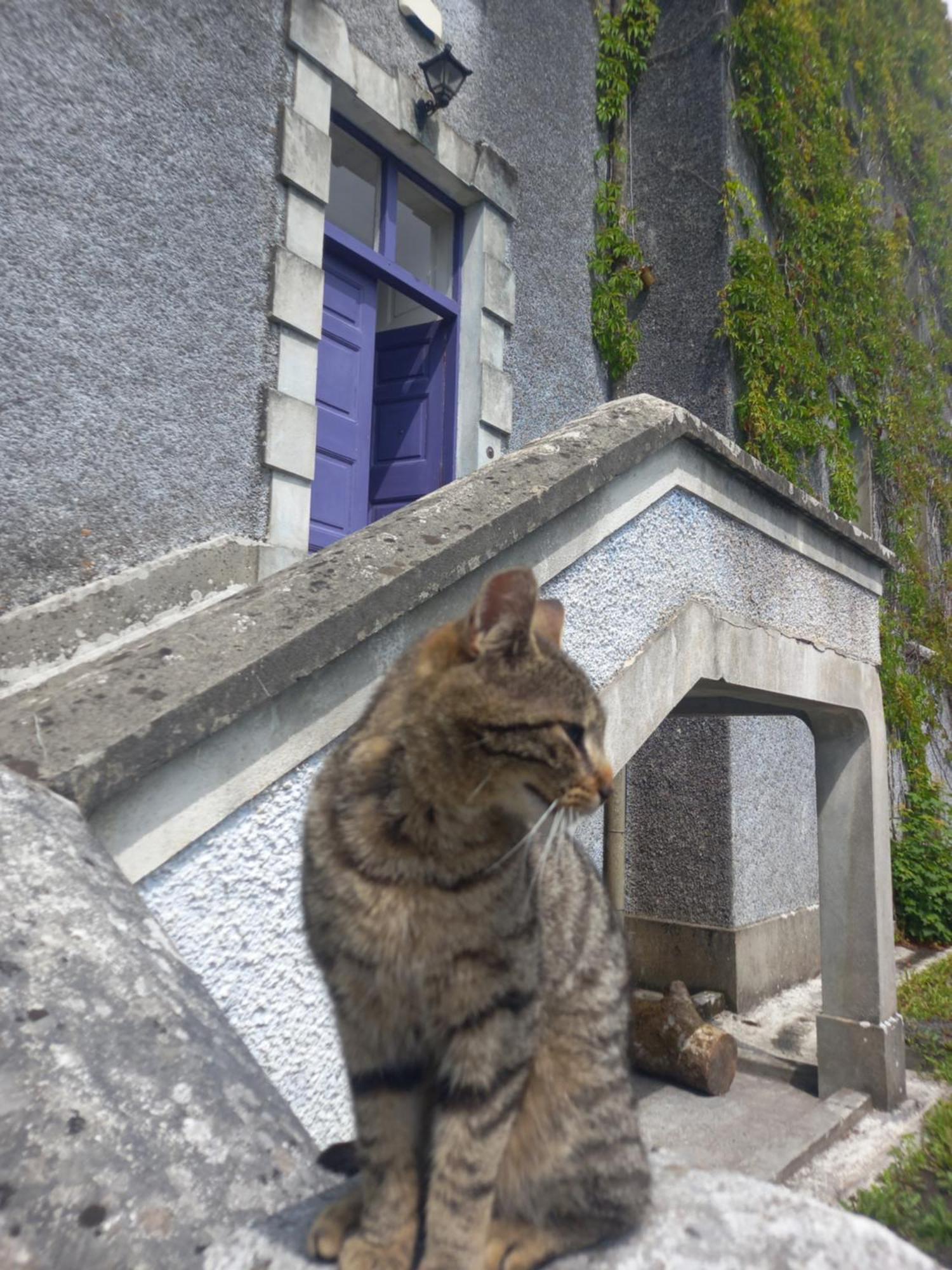 Gasthaus Cregg Castle Galway Exterior foto